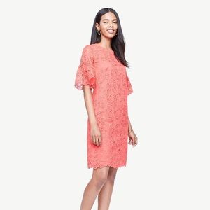 Ann Taylor LEAF LACE FLARE SLEEVE SHIFT DRESS